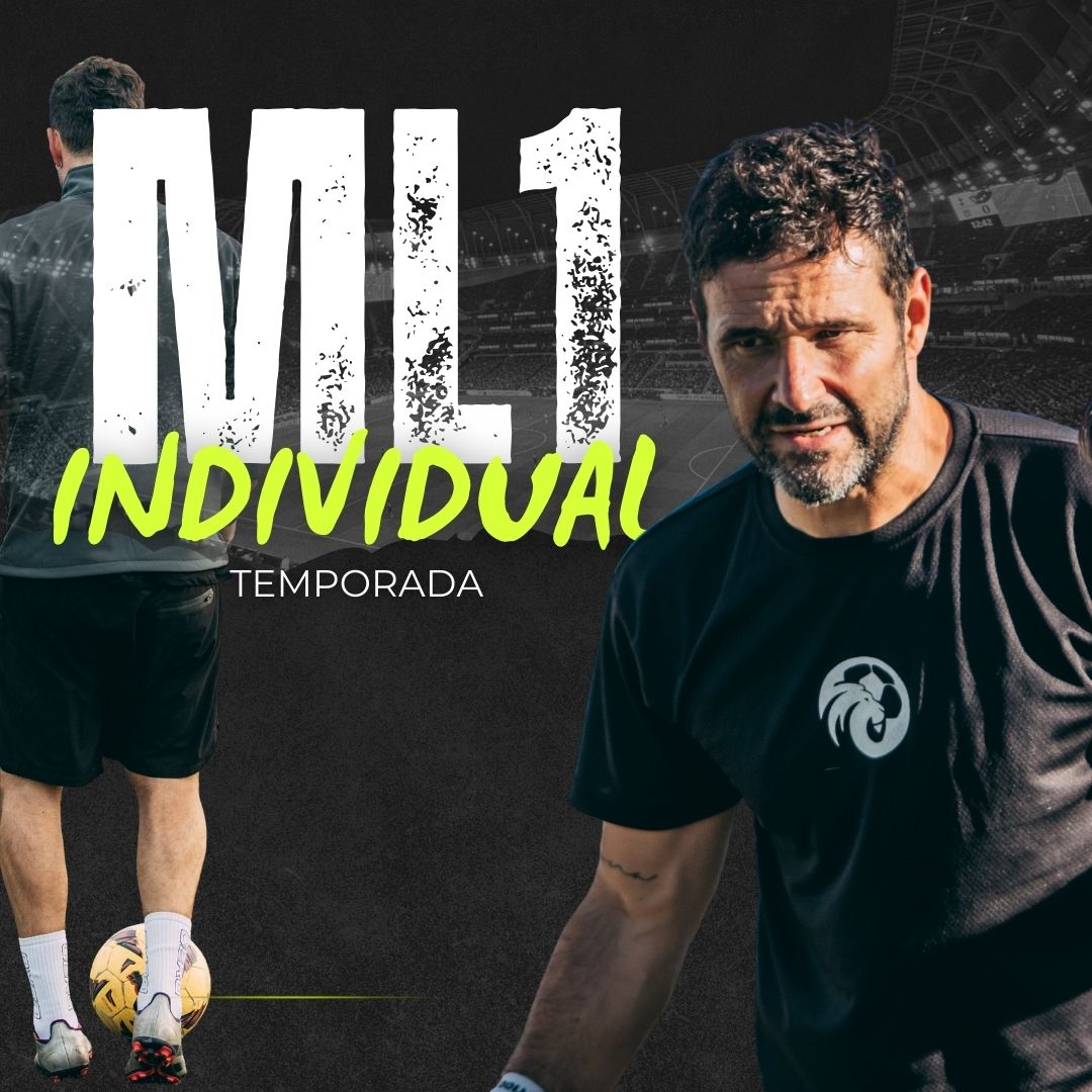 Programa ML1 Individual